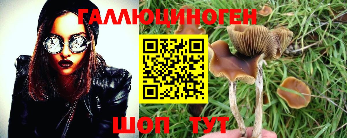 Галлюциногенные грибы GOLDEN TEACHER Унеча
