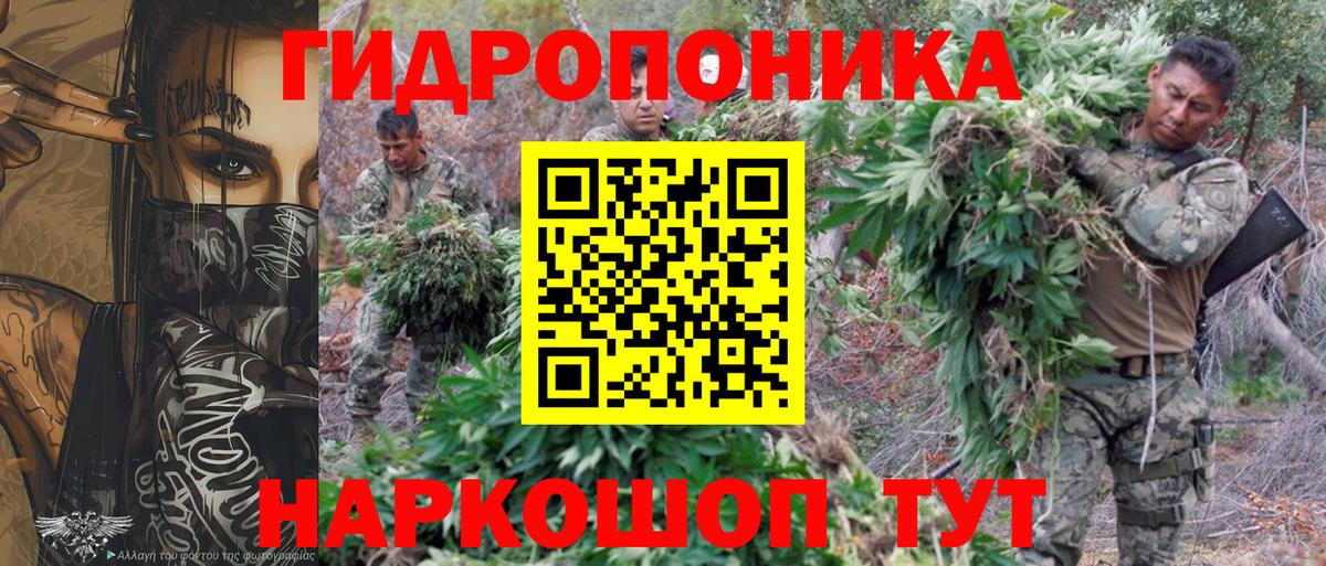 Бошки марихуана Amnesia Унеча